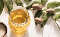 PecanOil_900