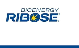 BioenergyRibose_900