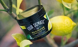 FourSigmatic_900