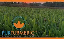 PurTumeric_900