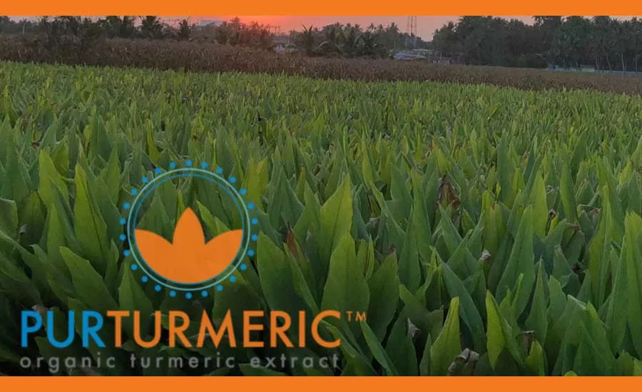 PurTumeric_900