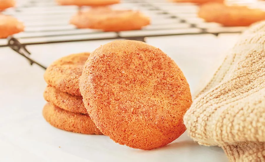 TIC_Snickerdoodle.jpg