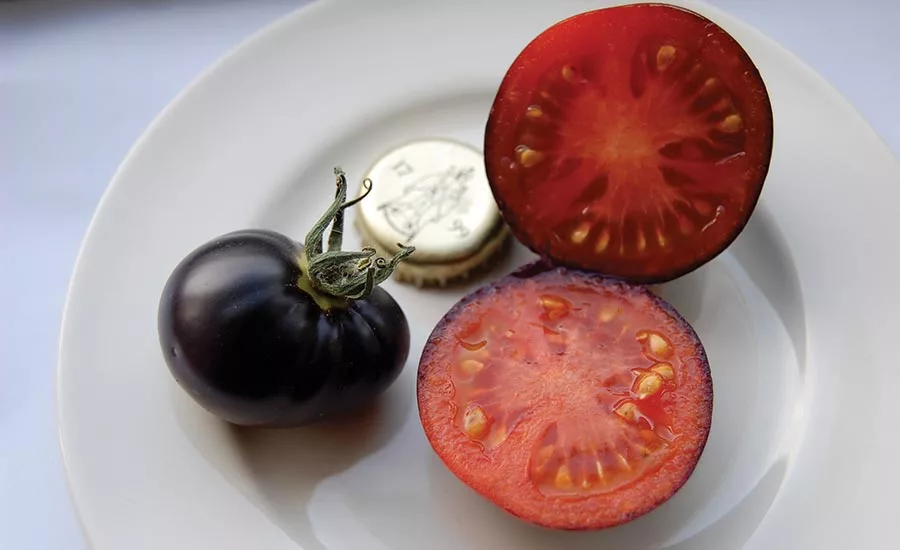 OSU_heirloomsFromTheFarm