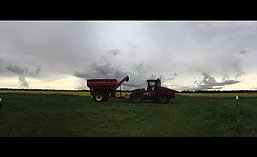 RiceHarvest18_900