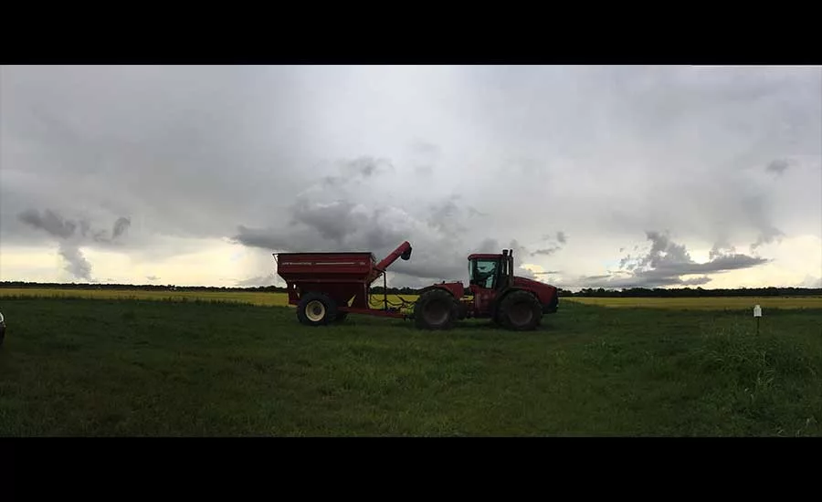 RiceHarvest18_900