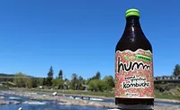 HummKombucha_900