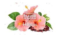 FirmenichFlavor19_900