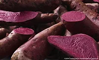 ChrHansenRed_900