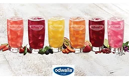 OdwallaCraft_01_900