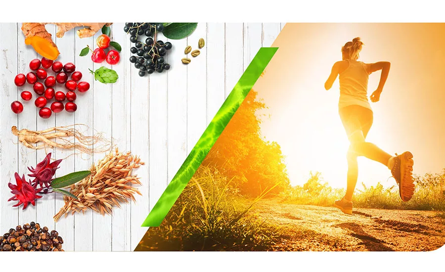 Naturex_ProtSport_900