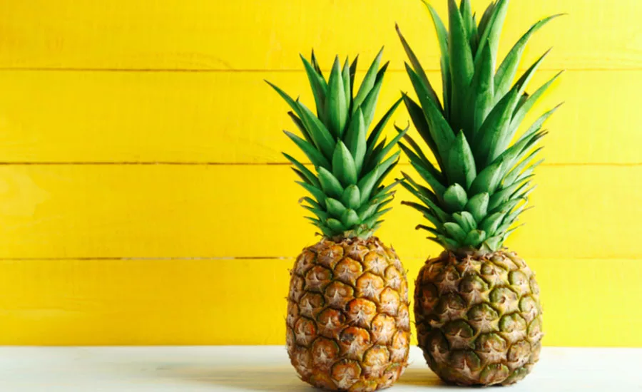 iTi_Pineapple_900