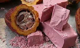 BarryCallebaut_Ruby19_900