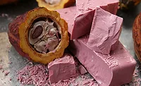 BarryCallebaut_Ruby19_900