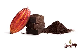 BarryCallebaut_Bendorp_900