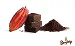 BarryCallebaut_Bendorp_900