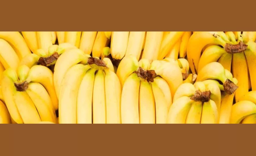 ComaxBanana_3_900