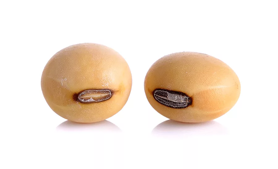 FrutaromSoy2_900