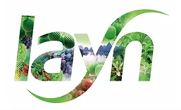 Layn logo 2