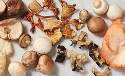 WixonMushrooms_900 WixonMushrooms_900