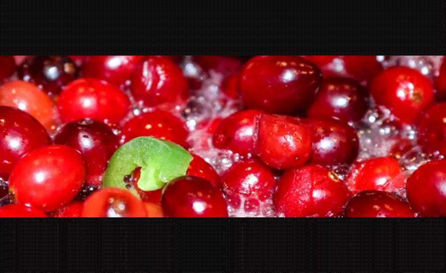 Comax_Cranberries_900