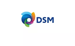 DSM_logo_900