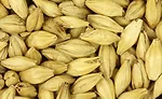 MaltProducts_Barley_900
