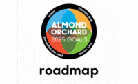 Almonds_2025_900