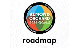 Almonds_2025_900