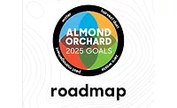 Almonds_2025_900
