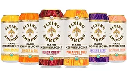 FlyingEmbers_Kombucha_900