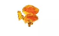 Nexira_GumFiber_900
