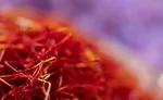 Saffron_Tendrils_900