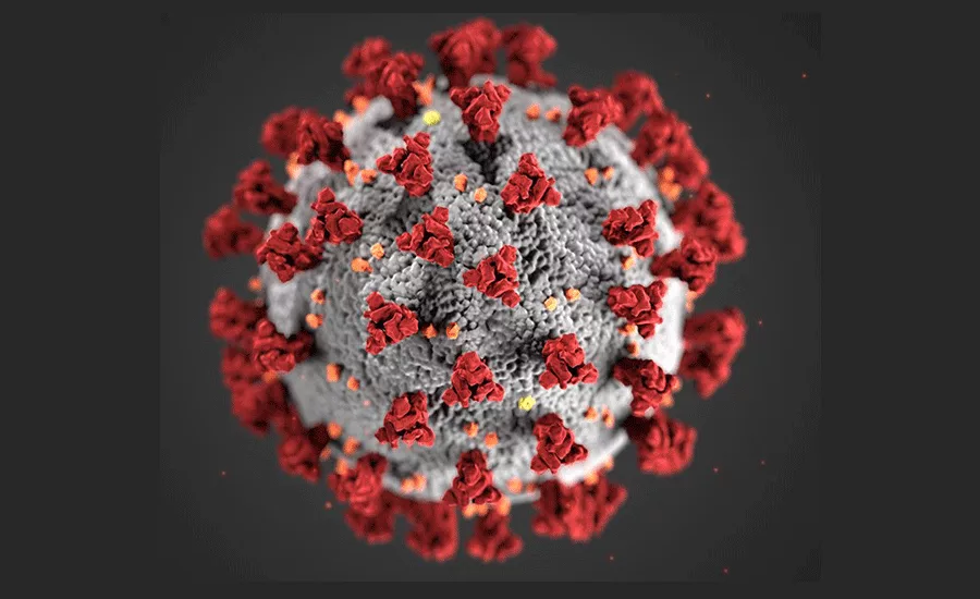 CoronaVirus_900