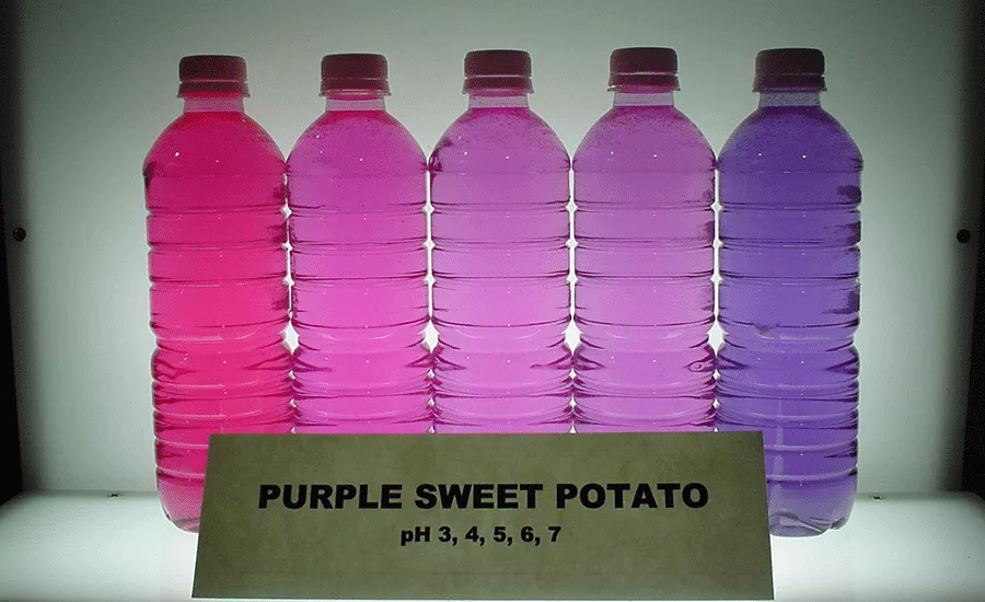 Food_Ing_Solutions_Purple_900