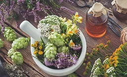 InnovaIngredients_900