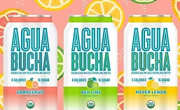 AguaBucha_900