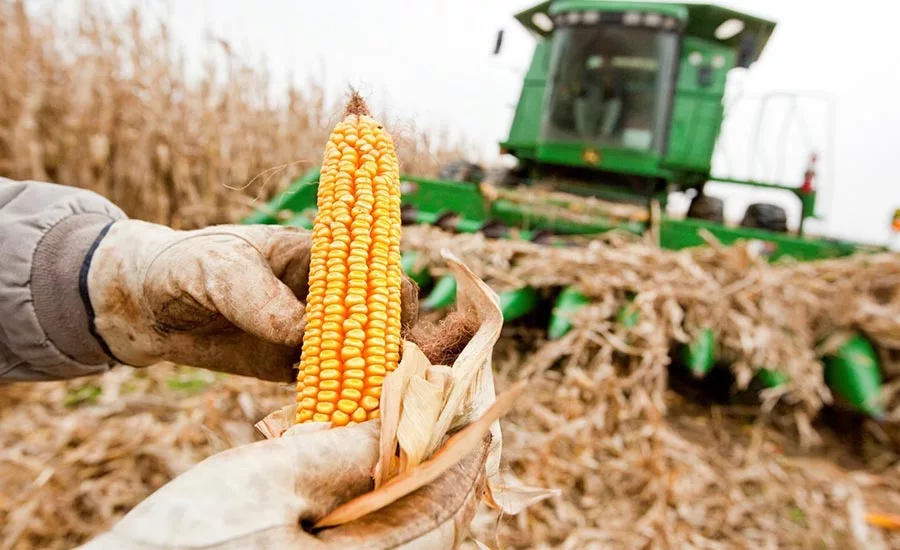 ADM_Corn_900