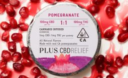 PLUS Products CBDRelief Pomegranate