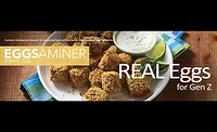 Eggsaminer_900