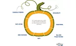 IFF_Health_2_900