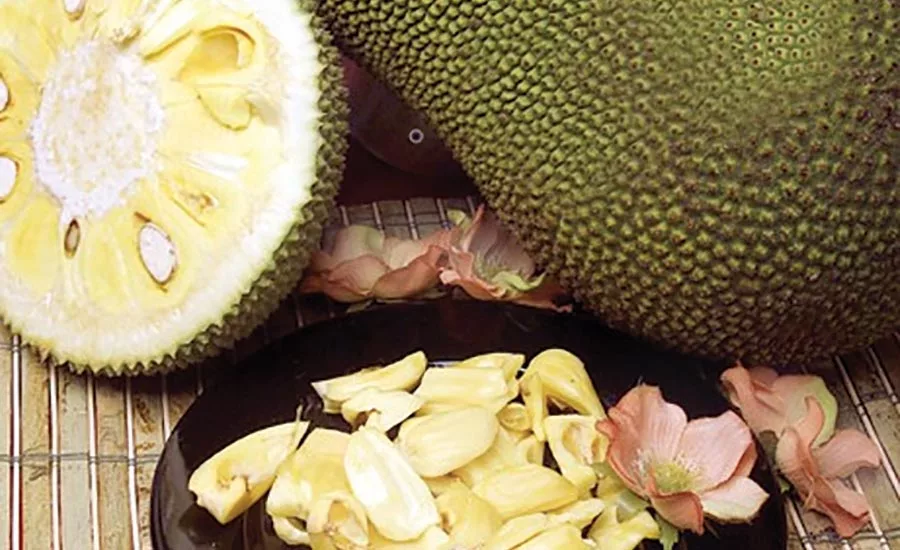 Melissas_jackfruit