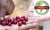 CoffeeBerry_900