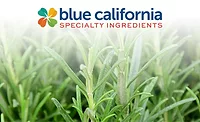 BlueCalifornia_Rosavel_900