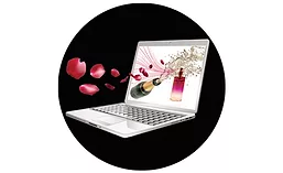 Trendincite_900