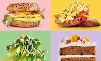 ZeroEgg_Menu_900