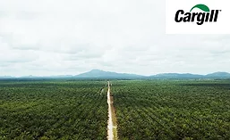 Cargill_PalmOil_900