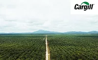 Cargill_PalmOil_900