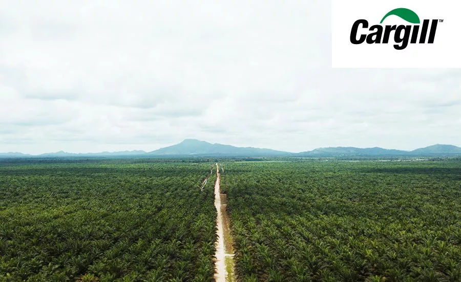 Cargill_PalmOil_900