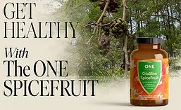 TheOne_SpiceFruit_900