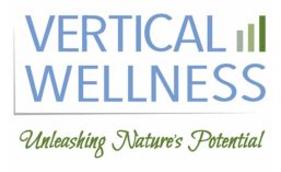 Vertical Wellness logo